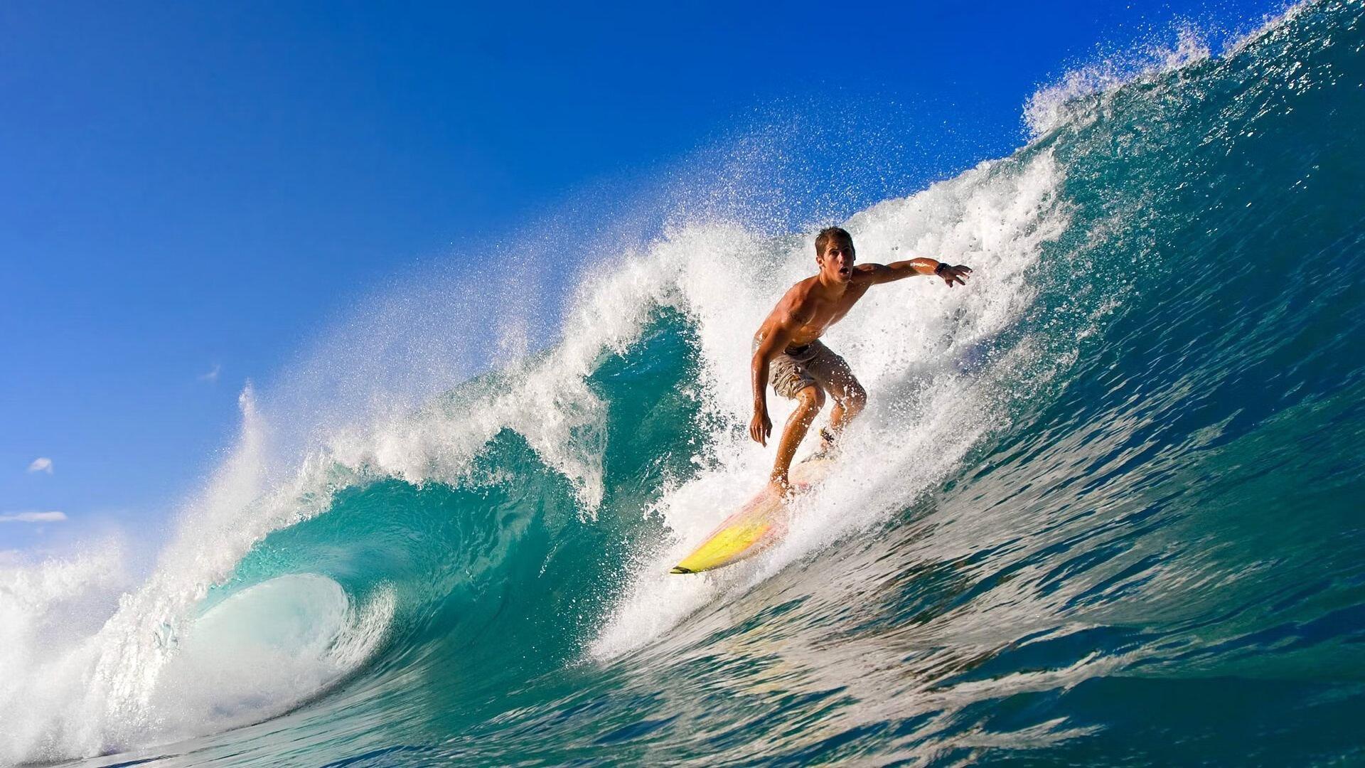 _极限飞盘：突破传统，创新玩法_，极限飞盘的基本技术动作