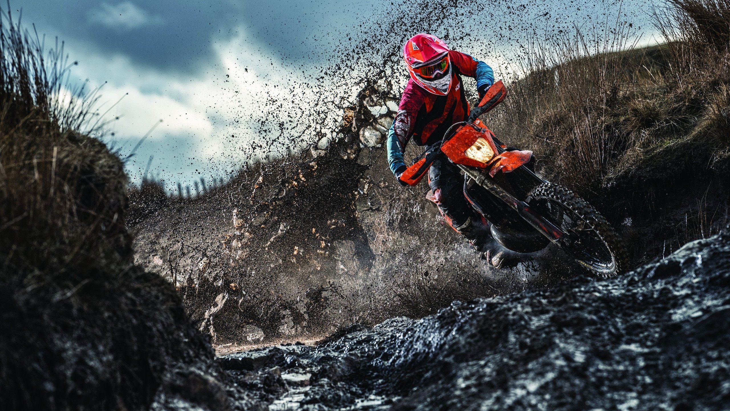 《电竞赛事志愿者：成为比赛背后的英雄》，电竞比赛内容是什么